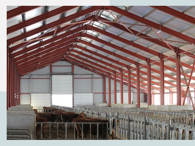 Строительство коровников в Ишиме