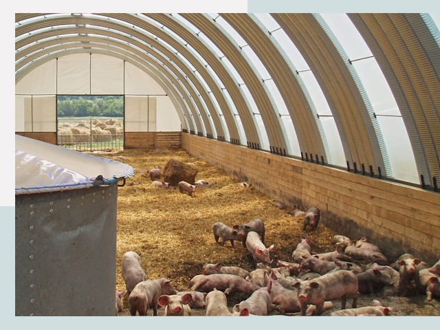 Строительство свинарников в Ишиме