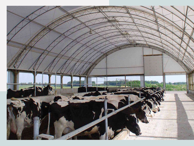 Тентовые коровники в Ишиме